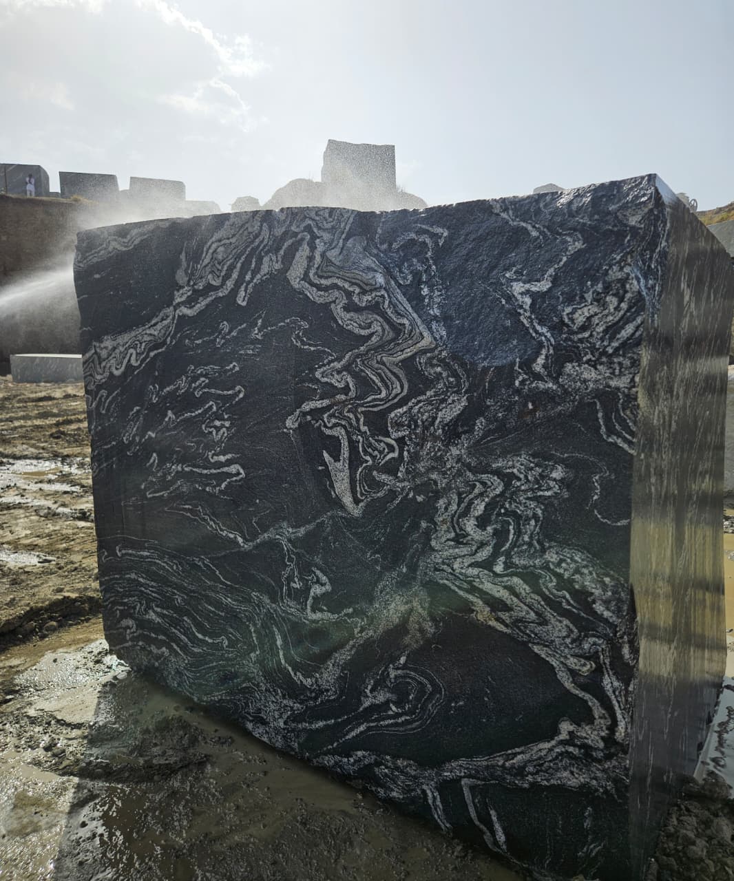 titanium granite black forest granite quarry mines blocks exporters india Black Forest Granite India Export Quality Blocks Direct Supply from Indian Quarry Reliance Mines & Minerals Leading Natural Stone Exporter in India
Black Granite with Dramatic Veins Gold Vein Granite Block White and Gold Veined Granite Artistic Granite Block Exotic Pattern Granite Stone Luxury Architectural Granite Premium Veined Granite Slabs & Tiles Designer Granite Stone for Interiors High-End Granite for Luxury Projects Granite for Luxury Hotels Granite for Villas and Resorts Granite for Restaurants & Clubs Granite for Architects & Builders Granite for Interior Designers Granite for Commercial Projects Granite for Residential Interiors Granite for Countertops & Vanity Tops Granite for Wall Cladding Granite for Flooring Granite for Wall Panels Granite for Countertops Granite for Kitchen Tops Granite for Vanity Tops Granite for Staircase & Hall Designs Granite Slabs for Interior Decoration Granite Tiles for Premium Flooring Granite Block Exporter from India Quarry Owner Granite Supplier Direct Quarry Granite Blocks Granite Blocks at Competitive Price Granite Blocks Bulk Supply Global Granite Exporter Granite Export to China Granite Export to Vietnam Granite Export to Middle East Granite Shipping via Xiamen Port Granite Blocks CIF / FOB Xiamen High Density Granite Crack-Free Granite Block Premium Grade Granite Stone Hardness and Strength Granite Polished Granite Block Sample Epoxy Treated Granite Sample Granite Block 3m Length Large Size Granite Block Supply Natural Granite Stone Export Direct Quarry Deals Granite Best Price Granite Block Quarry Direct Premium Granite Granite Blocks Wholesale Supply Granite for Importers & Distributors Profitable Granite Import Deals OEM Granite Block Supply Reliable Granite Export Partner Premium Titanium Granite Block for Luxury Interiors Exotic Black Forest Granite Blocks Direct from Quarry Black Granite with Gold Veins for Architecture Projects High Density Granite Blocks Ready for Export Luxury Hotel Interior Granite Supplier Titanium Gold Granite Block for Countertops Best Granite Block Supplier with Quarry Ownership Granite Blocks Delivered at Xiamen Port Large Granite Blocks for Cutting Slabs High-End Granite for Villas, Resorts, and Hotels “Direct from Quarry – No Middlemen” “Premium Quality Titanium Granite Blocks – Ready for Shipment” “Exotic Black Granite with White & Gold Veins” “Perfect for Luxury Hotels, Villas, and Commercial Interiors” “High-Density, Crack-Free Granite – Export Grade” “Available for Delivery at Xiamen Port” “Trusted Global Exporter with Years of Experience” Titanium Granite Block Black Forest Granite Block Titanium Black Granite Block Titanium Gold Granite Block Premium Granite Blocks for Export Exotic Granite Block Supplier Luxury Granite Block Manufacturer Black Granite with White and Gold Veins Deep Black Granite Block Quarry Direct Granite Blocks Indian Granite Block Exporter High Density Granite Block Natural Stone Blocks for Export Premium Quality Granite Blocks Granite Blocks Xiamen Port Delivery Granite Blocks Ready to Ship Reliance mines & minerals rajasthan india quarry export exporter wholesale natural stone dealer blocks trader