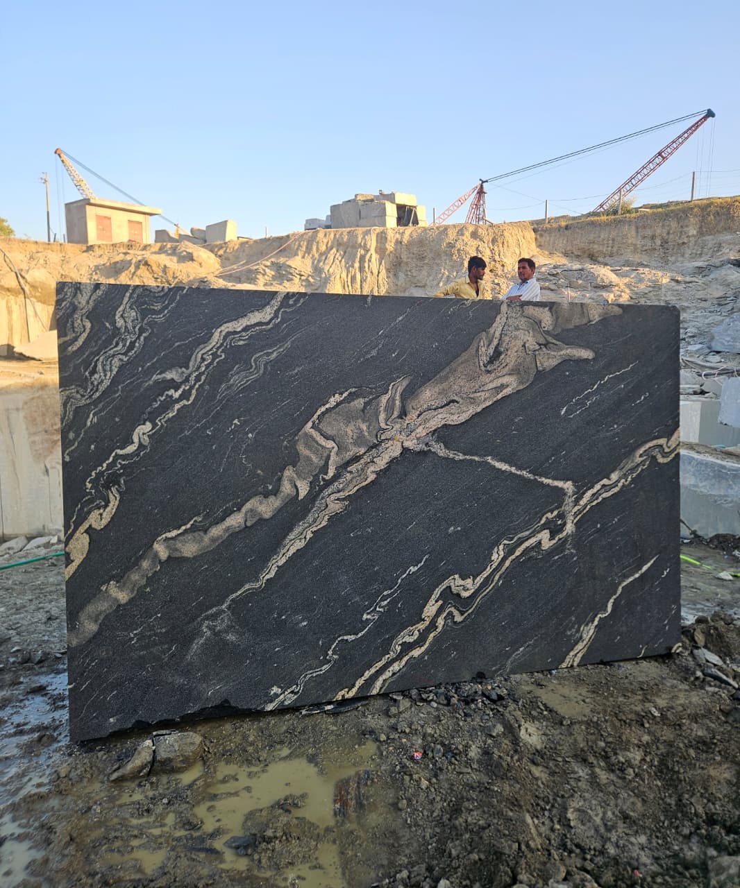 titanium granite black forest granite quarry mines blocks exporters india Black Forest Granite India Export Quality Blocks Direct Supply from Indian Quarry Reliance Mines & Minerals Leading Natural Stone Exporter in India
Black Granite with Dramatic Veins Gold Vein Granite Block White and Gold Veined Granite Artistic Granite Block Exotic Pattern Granite Stone Luxury Architectural Granite Premium Veined Granite Slabs & Tiles Designer Granite Stone for Interiors High-End Granite for Luxury Projects Granite for Luxury Hotels Granite for Villas and Resorts Granite for Restaurants & Clubs Granite for Architects & Builders Granite for Interior Designers Granite for Commercial Projects Granite for Residential Interiors Granite for Countertops & Vanity Tops Granite for Wall Cladding Granite for Flooring Granite for Wall Panels Granite for Countertops Granite for Kitchen Tops Granite for Vanity Tops Granite for Staircase & Hall Designs Granite Slabs for Interior Decoration Granite Tiles for Premium Flooring Granite Block Exporter from India Quarry Owner Granite Supplier Direct Quarry Granite Blocks Granite Blocks at Competitive Price Granite Blocks Bulk Supply Global Granite Exporter Granite Export to China Granite Export to Vietnam Granite Export to Middle East Granite Shipping via Xiamen Port Granite Blocks CIF / FOB Xiamen High Density Granite Crack-Free Granite Block Premium Grade Granite Stone Hardness and Strength Granite Polished Granite Block Sample Epoxy Treated Granite Sample Granite Block 3m Length Large Size Granite Block Supply Natural Granite Stone Export Direct Quarry Deals Granite Best Price Granite Block Quarry Direct Premium Granite Granite Blocks Wholesale Supply Granite for Importers & Distributors Profitable Granite Import Deals OEM Granite Block Supply Reliable Granite Export Partner Premium Titanium Granite Block for Luxury Interiors Exotic Black Forest Granite Blocks Direct from Quarry Black Granite with Gold Veins for Architecture Projects High Density Granite Blocks Ready for Export Luxury Hotel Interior Granite Supplier Titanium Gold Granite Block for Countertops Best Granite Block Supplier with Quarry Ownership Granite Blocks Delivered at Xiamen Port Large Granite Blocks for Cutting Slabs High-End Granite for Villas, Resorts, and Hotels “Direct from Quarry – No Middlemen” “Premium Quality Titanium Granite Blocks – Ready for Shipment” “Exotic Black Granite with White & Gold Veins” “Perfect for Luxury Hotels, Villas, and Commercial Interiors” “High-Density, Crack-Free Granite – Export Grade” “Available for Delivery at Xiamen Port” “Trusted Global Exporter with Years of Experience” Titanium Granite Block Black Forest Granite Block Titanium Black Granite Block Titanium Gold Granite Block Premium Granite Blocks for Export Exotic Granite Block Supplier Luxury Granite Block Manufacturer Black Granite with White and Gold Veins Deep Black Granite Block Quarry Direct Granite Blocks Indian Granite Block Exporter High Density Granite Block Natural Stone Blocks for Export Premium Quality Granite Blocks Granite Blocks Xiamen Port Delivery Granite Blocks Ready to Ship Reliance mines & minerals rajasthan india quarry export exporter wholesale natural stone dealer blocks trader