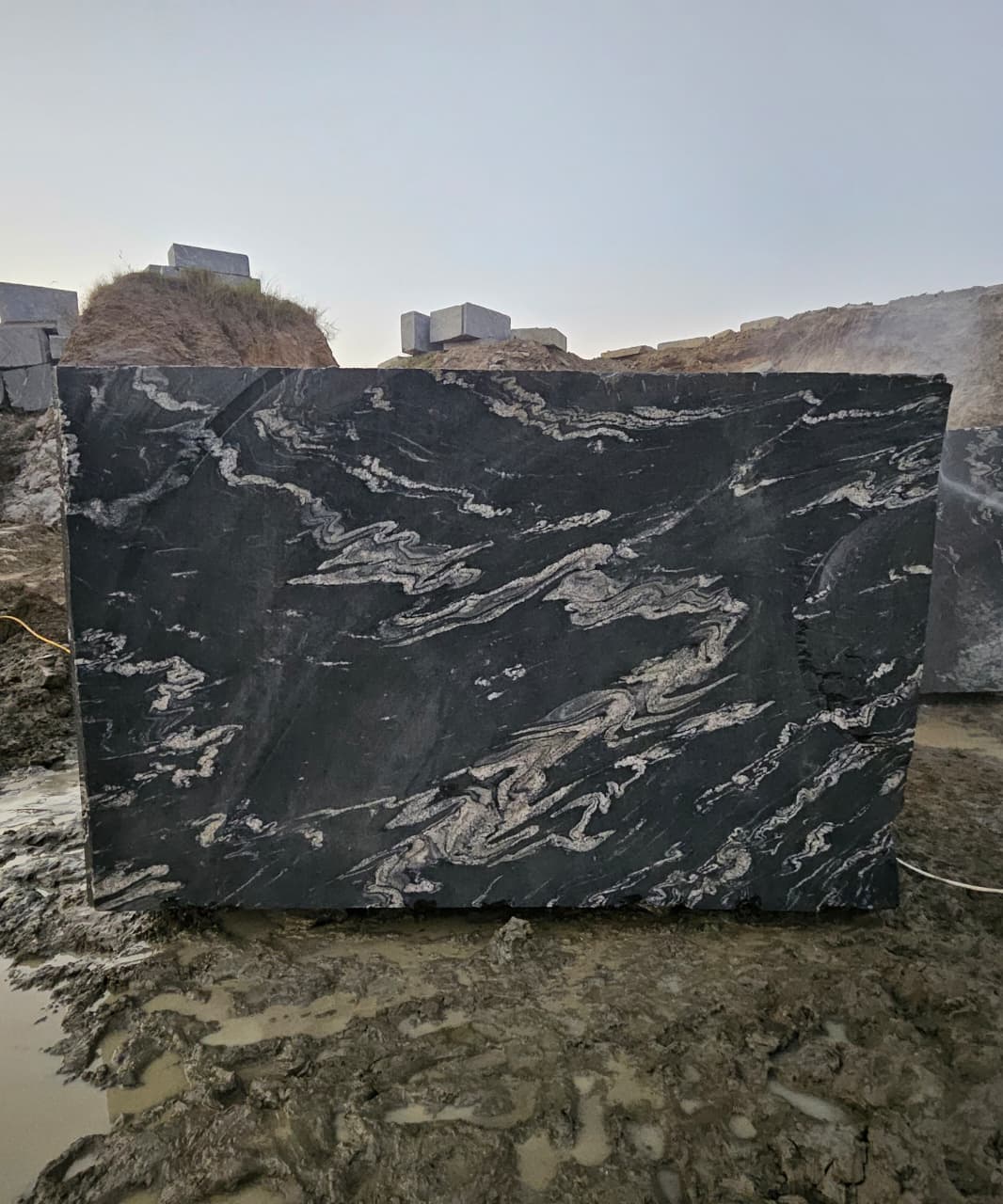 titanium granite black forest granite quarry mines blocks exporters india Black Forest Granite India Export Quality Blocks Direct Supply from Indian Quarry Reliance Mines & Minerals Leading Natural Stone Exporter in India
Black Granite with Dramatic Veins Gold Vein Granite Block White and Gold Veined Granite Artistic Granite Block Exotic Pattern Granite Stone Luxury Architectural Granite Premium Veined Granite Slabs & Tiles Designer Granite Stone for Interiors High-End Granite for Luxury Projects Granite for Luxury Hotels Granite for Villas and Resorts Granite for Restaurants & Clubs Granite for Architects & Builders Granite for Interior Designers Granite for Commercial Projects Granite for Residential Interiors Granite for Countertops & Vanity Tops Granite for Wall Cladding Granite for Flooring Granite for Wall Panels Granite for Countertops Granite for Kitchen Tops Granite for Vanity Tops Granite for Staircase & Hall Designs Granite Slabs for Interior Decoration Granite Tiles for Premium Flooring Granite Block Exporter from India Quarry Owner Granite Supplier Direct Quarry Granite Blocks Granite Blocks at Competitive Price Granite Blocks Bulk Supply Global Granite Exporter Granite Export to China Granite Export to Vietnam Granite Export to Middle East Granite Shipping via Xiamen Port Granite Blocks CIF / FOB Xiamen High Density Granite Crack-Free Granite Block Premium Grade Granite Stone Hardness and Strength Granite Polished Granite Block Sample Epoxy Treated Granite Sample Granite Block 3m Length Large Size Granite Block Supply Natural Granite Stone Export Direct Quarry Deals Granite Best Price Granite Block Quarry Direct Premium Granite Granite Blocks Wholesale Supply Granite for Importers & Distributors Profitable Granite Import Deals OEM Granite Block Supply Reliable Granite Export Partner Premium Titanium Granite Block for Luxury Interiors Exotic Black Forest Granite Blocks Direct from Quarry Black Granite with Gold Veins for Architecture Projects High Density Granite Blocks Ready for Export Luxury Hotel Interior Granite Supplier Titanium Gold Granite Block for Countertops Best Granite Block Supplier with Quarry Ownership Granite Blocks Delivered at Xiamen Port Large Granite Blocks for Cutting Slabs High-End Granite for Villas, Resorts, and Hotels “Direct from Quarry – No Middlemen” “Premium Quality Titanium Granite Blocks – Ready for Shipment” “Exotic Black Granite with White & Gold Veins” “Perfect for Luxury Hotels, Villas, and Commercial Interiors” “High-Density, Crack-Free Granite – Export Grade” “Available for Delivery at Xiamen Port” “Trusted Global Exporter with Years of Experience” Titanium Granite Block Black Forest Granite Block Titanium Black Granite Block Titanium Gold Granite Block Premium Granite Blocks for Export Exotic Granite Block Supplier Luxury Granite Block Manufacturer Black Granite with White and Gold Veins Deep Black Granite Block Quarry Direct Granite Blocks Indian Granite Block Exporter High Density Granite Block Natural Stone Blocks for Export Premium Quality Granite Blocks Granite Blocks Xiamen Port Delivery Granite Blocks Ready to Ship Reliance mines & minerals rajasthan india quarry export exporter wholesale natural stone dealer blocks trader