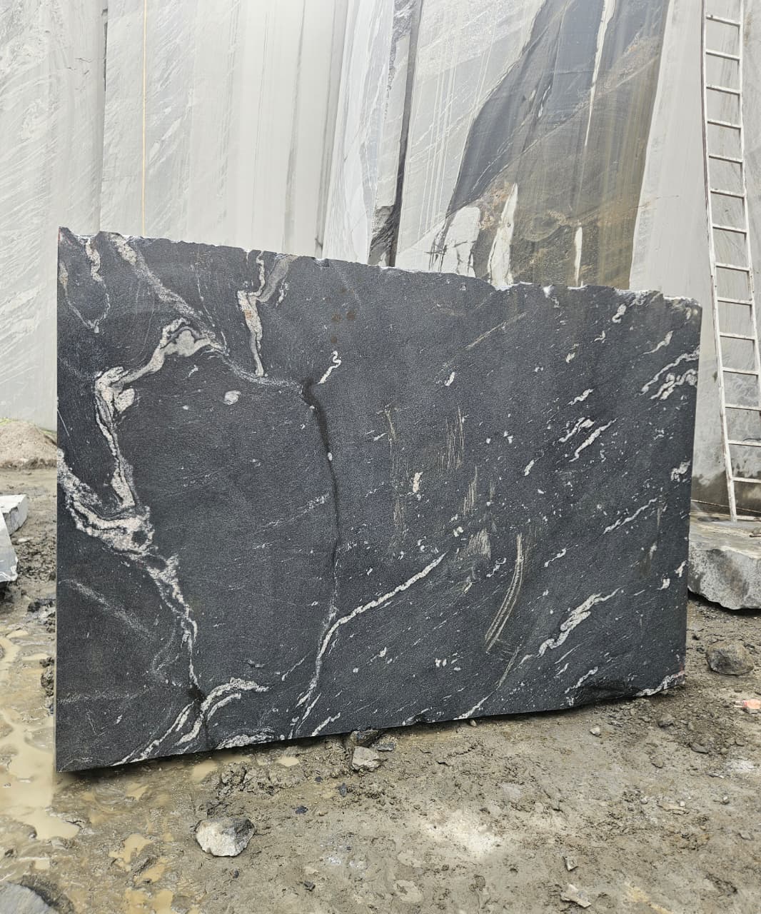 titanium granite black forest granite quarry mines blocks exporters india Black Forest Granite India Export Quality Blocks Direct Supply from Indian Quarry Reliance Mines & Minerals Leading Natural Stone Exporter in India
Black Granite with Dramatic Veins Gold Vein Granite Block White and Gold Veined Granite Artistic Granite Block Exotic Pattern Granite Stone Luxury Architectural Granite Premium Veined Granite Slabs & Tiles Designer Granite Stone for Interiors High-End Granite for Luxury Projects Granite for Luxury Hotels Granite for Villas and Resorts Granite for Restaurants & Clubs Granite for Architects & Builders Granite for Interior Designers Granite for Commercial Projects Granite for Residential Interiors Granite for Countertops & Vanity Tops Granite for Wall Cladding Granite for Flooring Granite for Wall Panels Granite for Countertops Granite for Kitchen Tops Granite for Vanity Tops Granite for Staircase & Hall Designs Granite Slabs for Interior Decoration Granite Tiles for Premium Flooring Granite Block Exporter from India Quarry Owner Granite Supplier Direct Quarry Granite Blocks Granite Blocks at Competitive Price Granite Blocks Bulk Supply Global Granite Exporter Granite Export to China Granite Export to Vietnam Granite Export to Middle East Granite Shipping via Xiamen Port Granite Blocks CIF / FOB Xiamen High Density Granite Crack-Free Granite Block Premium Grade Granite Stone Hardness and Strength Granite Polished Granite Block Sample Epoxy Treated Granite Sample Granite Block 3m Length Large Size Granite Block Supply Natural Granite Stone Export Direct Quarry Deals Granite Best Price Granite Block Quarry Direct Premium Granite Granite Blocks Wholesale Supply Granite for Importers & Distributors Profitable Granite Import Deals OEM Granite Block Supply Reliable Granite Export Partner Premium Titanium Granite Block for Luxury Interiors Exotic Black Forest Granite Blocks Direct from Quarry Black Granite with Gold Veins for Architecture Projects High Density Granite Blocks Ready for Export Luxury Hotel Interior Granite Supplier Titanium Gold Granite Block for Countertops Best Granite Block Supplier with Quarry Ownership Granite Blocks Delivered at Xiamen Port Large Granite Blocks for Cutting Slabs High-End Granite for Villas, Resorts, and Hotels “Direct from Quarry – No Middlemen” “Premium Quality Titanium Granite Blocks – Ready for Shipment” “Exotic Black Granite with White & Gold Veins” “Perfect for Luxury Hotels, Villas, and Commercial Interiors” “High-Density, Crack-Free Granite – Export Grade” “Available for Delivery at Xiamen Port” “Trusted Global Exporter with Years of Experience” Titanium Granite Block Black Forest Granite Block Titanium Black Granite Block Titanium Gold Granite Block Premium Granite Blocks for Export Exotic Granite Block Supplier Luxury Granite Block Manufacturer Black Granite with White and Gold Veins Deep Black Granite Block Quarry Direct Granite Blocks Indian Granite Block Exporter High Density Granite Block Natural Stone Blocks for Export Premium Quality Granite Blocks Granite Blocks Xiamen Port Delivery Granite Blocks Ready to Ship Reliance mines & minerals rajasthan india quarry export exporter wholesale natural stone dealer blocks trader
