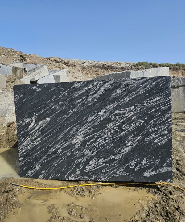 Black Forest Granite India Export Quality Blocks Direct Supply from Indian Quarry Reliance Mines & Minerals Leading Natural Stone Exporter in India Black Granite with Dramatic Veins Gold Vein Granite Block White and Gold Veined Granite Artistic Granite Block Exotic Pattern Granite Stone Luxury Architectural Granite Premium Veined Granite Slabs & Tiles Designer Granite Stone for Interiors High-End Granite for Luxury Projects Granite for Luxury Hotels Granite for Villas and Resorts Granite for Restaurants & Clubs Granite for Architects & Builders Granite for Interior Designers Granite for Commercial Projects Granite for Residential Interiors Granite for Countertops & Vanity Tops Granite for Wall Cladding Granite for Flooring Granite for Wall Panels Granite for Countertops Granite for Kitchen Tops Granite for Vanity Tops Granite for Staircase & Hall Designs Granite Slabs for Interior Decoration Granite Tiles for Premium Flooring Granite Block Exporter from India Quarry Owner Granite Supplier Direct Quarry Granite Blocks Granite Blocks at Competitive Price Granite Blocks Bulk Supply Global Granite Exporter Granite Export to China Granite Export to Vietnam Granite Export to Middle East Granite Shipping via Xiamen Port Granite Blocks CIF / FOB Xiamen High Density Granite Crack-Free Granite Block Premium Grade Granite Stone Hardness and Strength Granite Polished Granite Block Sample Epoxy Treated Granite Sample Granite Block 3m Length Large Size Granite Block Supply Natural Granite Stone Export Direct Quarry Deals Granite Best Price Granite Block Quarry Direct Premium Granite Granite Blocks Wholesale Supply Granite for Importers & Distributors Profitable Granite Import Deals OEM Granite Block Supply Reliable Granite Export Partner Premium Titanium Granite Block for Luxury Interiors Exotic Black Forest Granite Blocks Direct from Quarry Black Granite with Gold Veins for Architecture Projects High Density Granite Blocks Ready for Export Luxury Hotel Interior Granite Supplier Titanium Gold Granite Block for Countertops Best Granite Block Supplier with Quarry Ownership Granite Blocks Delivered at Xiamen Port Large Granite Blocks for Cutting Slabs High-End Granite for Villas, Resorts, and Hotels “Direct from Quarry – No Middlemen” “Premium Quality Titanium Granite Blocks – Ready for Shipment” “Exotic Black Granite with White & Gold Veins” “Perfect for Luxury Hotels, Villas, and Commercial Interiors” “High-Density, Crack-Free Granite – Export Grade” “Available for Delivery at Xiamen Port” “Trusted Global Exporter with Years of Experience” Titanium Granite Block Black Forest Granite Block Titanium Black Granite Block Titanium Gold Granite Block Premium Granite Blocks for Export Exotic Granite Block Supplier Luxury Granite Block Manufacturer Black Granite with White and Gold Veins Deep Black Granite Block Quarry Direct Granite Blocks Indian Granite Block Exporter High Density Granite Block Natural Stone Blocks for Export Premium Quality Granite Blocks Granite Blocks Xiamen Port Delivery Granite Blocks Ready to Ship Reliance mines & minerals rajasthan india quarry export exporter wholesale natural stone dealer blocks trader titanium black gold granite block blocks india indian exporter export exporters quarry mines stone slabs tiles b2b wholesale dealer Black forest granite block blocks india indian exporter exporters quarry mines export stone slabs tiles b2b wholesale dealer Titanium Granite Block Forest Black Granite Block Black Forest Granite Block Titanium Black Granite Block Titanium Gold Granite Block Premium Granite Blocks for Export Exotic Granite Block Supplier Luxury Granite Block Manufacturer Black Granite with White and Gold Veins Deep Black Granite Block Quarry Direct Granite Blocks Indian Granite Block Exporter High Density Granite Block Natural Stone Blocks for Export Premium Quality Granite Blocks Granite Blocks Xiamen Port Delivery Granite Blocks Ready to Ship Titanium Granite quarry Black forest granite quarry Black Granite with Dramatic Veins Gold Vein Granite Block White and Gold Veined Granite Artistic Granite Block Exotic Pattern Granite Stone Luxury Architectural Granite Premium Veined Granite Slabs & Tiles Designer Granite Stone for Interiors High-End Granite for Luxury Projects Granite for Luxury Hotels Granite for Villas and Resorts Granite for Restaurants & Clubs Granite for Architects & Builders Granite for Interior Designers Granite for Commercial Projects Granite for Residential Interiors Granite for Countertops & Vanity Tops Granite for Wall Cladding Granite for Flooring Granite for Wall Panels Granite for Countertops Granite for Kitchen Tops Granite for Vanity Tops Granite for Staircase & Hall Designs Granite Slabs for Interior Decoration Granite Tiles for Premium Flooring Granite Block Exporter from India Quarry Owner Granite Supplier Direct Quarry Granite Blocks Granite Blocks at Competitive Price Granite Blocks Bulk Supply Global Granite Exporter Granite Export to China Granite Export to Vietnam Granite Export to Middle East Granite Shipping via Xiamen Port Granite Blocks CIF / FOB Xiamen High Density Granite Crack-Free Granite Block Premium Grade Granite Stone Hardness and Strength Granite Polished Granite Block Sample Epoxy Treated Granite Sample Granite Block 3m Length Large Size Granite Block Supply Natural Granite Stone Export Direct Quarry Deals Granite Best Price Granite Block Quarry Direct Premium Granite Granite Blocks Wholesale Supply Granite for Importers & Distributors Profitable Granite Import Deals OEM Granite Block Supply Reliable Granite Export Partner Premium Titanium Granite Block for Luxury Interiors Exotic Black Forest Granite Blocks Direct from Quarry Black Granite with Gold Veins for Architecture Projects High Density Granite Blocks Ready for Export Luxury Hotel Interior Granite Supplier Titanium Gold Granite Block for Countertops Best Granite Block Supplier with Quarry Ownership Granite Blocks Delivered at Xiamen Port Large Granite Blocks for Cutting Slabs High-End Granite for Villas, Resorts, and Hotels Direct from Quarry – No Middlemen Premium Quality Titanium Granite Blocks – Ready for Shipment Exotic Black Granite with White & Gold Veins Perfect for Luxury Hotels, Villas, and Commercial Interiors High-Density, Crack-Free Granite – Export Grade Available for Delivery at Xiamen Port Trusted Global Exporter with Years of Experience
