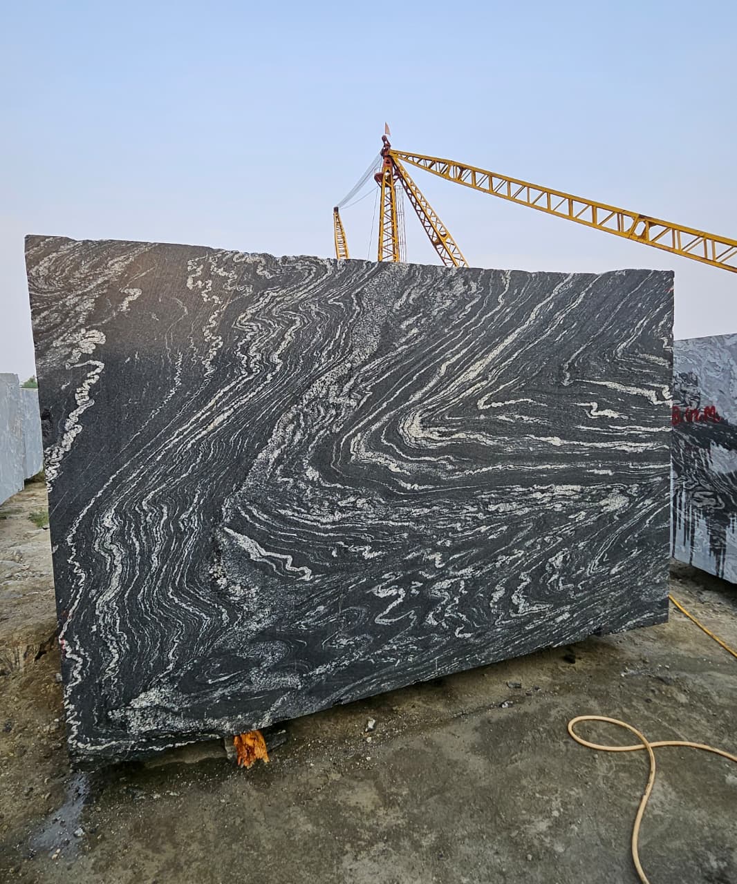 titanium granite black forest granite quarry mines blocks exporters india Black Forest Granite India Export Quality Blocks Direct Supply from Indian Quarry Reliance Mines & Minerals Leading Natural Stone Exporter in India
Black Granite with Dramatic Veins Gold Vein Granite Block White and Gold Veined Granite Artistic Granite Block Exotic Pattern Granite Stone Luxury Architectural Granite Premium Veined Granite Slabs & Tiles Designer Granite Stone for Interiors High-End Granite for Luxury Projects Granite for Luxury Hotels Granite for Villas and Resorts Granite for Restaurants & Clubs Granite for Architects & Builders Granite for Interior Designers Granite for Commercial Projects Granite for Residential Interiors Granite for Countertops & Vanity Tops Granite for Wall Cladding Granite for Flooring Granite for Wall Panels Granite for Countertops Granite for Kitchen Tops Granite for Vanity Tops Granite for Staircase & Hall Designs Granite Slabs for Interior Decoration Granite Tiles for Premium Flooring Granite Block Exporter from India Quarry Owner Granite Supplier Direct Quarry Granite Blocks Granite Blocks at Competitive Price Granite Blocks Bulk Supply Global Granite Exporter Granite Export to China Granite Export to Vietnam Granite Export to Middle East Granite Shipping via Xiamen Port Granite Blocks CIF / FOB Xiamen High Density Granite Crack-Free Granite Block Premium Grade Granite Stone Hardness and Strength Granite Polished Granite Block Sample Epoxy Treated Granite Sample Granite Block 3m Length Large Size Granite Block Supply Natural Granite Stone Export Direct Quarry Deals Granite Best Price Granite Block Quarry Direct Premium Granite Granite Blocks Wholesale Supply Granite for Importers & Distributors Profitable Granite Import Deals OEM Granite Block Supply Reliable Granite Export Partner Premium Titanium Granite Block for Luxury Interiors Exotic Black Forest Granite Blocks Direct from Quarry Black Granite with Gold Veins for Architecture Projects High Density Granite Blocks Ready for Export Luxury Hotel Interior Granite Supplier Titanium Gold Granite Block for Countertops Best Granite Block Supplier with Quarry Ownership Granite Blocks Delivered at Xiamen Port Large Granite Blocks for Cutting Slabs High-End Granite for Villas, Resorts, and Hotels “Direct from Quarry – No Middlemen” “Premium Quality Titanium Granite Blocks – Ready for Shipment” “Exotic Black Granite with White & Gold Veins” “Perfect for Luxury Hotels, Villas, and Commercial Interiors” “High-Density, Crack-Free Granite – Export Grade” “Available for Delivery at Xiamen Port” “Trusted Global Exporter with Years of Experience” Titanium Granite Block Black Forest Granite Block Titanium Black Granite Block Titanium Gold Granite Block Premium Granite Blocks for Export Exotic Granite Block Supplier Luxury Granite Block Manufacturer Black Granite with White and Gold Veins Deep Black Granite Block Quarry Direct Granite Blocks Indian Granite Block Exporter High Density Granite Block Natural Stone Blocks for Export Premium Quality Granite Blocks Granite Blocks Xiamen Port Delivery Granite Blocks Ready to Ship Reliance mines & minerals rajasthan india quarry export exporter wholesale natural stone dealer blocks trader