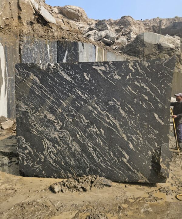 Product Overview: Reliance Titanium Black & Forest Black Granite is a luxurious natural stone celebrated for its striking black background enriched with flowing golden and white veins. Mined from our owned quarry, this granite represents strength, elegance, and timeless beauty — making it a preferred choice for high-end architectural and interior projects across the globe. Each block is a unique creation of nature, offering unmatched character and visual depth. Technical Specifications: Title Reliance Titanium Black & Forest Black Granite Block Stone Type Granite Block Type Gangsaw Block Block Size 300 CM x 180 CM x 180 CM (LXWXH) Color Deep Black with Gold & White Veins Surface Finish Options Wire Saw Cut Density 2960-3000 kg/m3 Compressive Strength 200-250 MPa Water Absorption 0.2%-0.3% Hardness (Mohs) 6 to 7 Porosity Low Origin India Applications Slabs, Countertops, Flooring, Wall Cladding, Interior Key Features: Elegant Aesthetic Appeal: Deep jet-black background enhanced by golden and silver waves — a naturally luxurious look. Superior Strength & Durability: Excellent structural integrity and long-term performance in varied climates. High Polish Retention: Achieves exceptional gloss and mirror-like reflection after finishing. Consistent Texture: Uniform color and grain suitable for large-scale architectural applications. Versatile Application Range: Perfect for multiple interior purposes. Low Maintenance: Resistant to stains, scratches, and moisture, ensuring lasting beauty with minimal upkeep. Export-Grade Blocks: Carefully selected and cut for optimal slab yield and international market standards. Recommended Uses: Kitchen Countertops & Islands Luxury Flooring & Staircases Hotel Lobbies & Reception Areas Wall Cladding & Facades Memorials & Monuments Designer Furniture Tops Why Choose Reliance Titanium Black Granite and Forest Black Granite? Our granite is preferred by export buyers because of: Natural white veins and attractive deep black surface Zero crack, high strength and durability, suitable for projects & reprocessing Consistent Gang Saw block sizes Strict quality checks for each block before shipment Reliable and stable long-term supply Export Capabilities & Payment Terms: We provide smooth, professional export handling with: Payment Options: L/C at sight (Letter of Credit at sight) D/P (Documents Against Payment) T/T advance (if preferred by the buyer) Shipping Documents Provided: Bill of Lading (BL) Commercial Invoice Packing List Certificate of Origin Other documents as per buyer requirements Shipping Price Options: FOB (Indian Port) CNF (any destination port globally) Our logistics team ensures timely loading, documentation, and shipment coordination for a hassle-free experience. About Reliance Mines & Minerals We have a strong presence in the global stone industry, regularly exporting to China, Germany, USA, Oman, and Qatar . Our team is experienced in international trade procedures, ensuring professional communication and smooth cooperation with all partners. We Welcome Your Inquiry If your company is seeking a reliable supplier for premium Titanium black & Forest black granite blocks, we would be pleased to offer quotations, block photos, videos and quarry videos and further details. We look forward to establishing a long-term and successful business relationship with your esteemed company. More About Reliance Titanium Black & Forest Black Granite: Reliance Titanium Black & Forest Black Granite combines natural elegance with engineering excellence. Its bold veins and premium polish bring sophistication to any architectural space, while its robust physical properties ensure durability even in demanding environments. Each block is meticulously extracted and inspected to meet international export quality benchmarks. Reliance Mines & Minerals specializes in the sales and global export of premium granite blocks and slabs. With years of experience in the stone industry, we have established a strong presence in international markets. We are committed to delivering top-quality granite with timely and reliable shipments to major ports worldwide. Our dedicated sales and logistics team is highly skilled in managing export documentation, container loading, and shipping procedures, ensuring a smooth and hassle-free experience for our clients. At the heart of our business is a focus on excellence, professionalism, and customer satisfaction, making us a trusted partner for granite buyers around the globe. 印度 花岗岩 块料 泰坦黑 花岗岩 印度 森林黑 花岗岩 印度 印度 花岗岩 块料, 印度 出口 花岗岩 块, 印度花岗岩原石 中国进口 India granite block Titanium Black granite India Forest Black granite India Granite Blocks Titanium Black Granite Reliance Titanium Black Granite Titanium Black Granite Slabs Polished Titanium Black Granite Bookmatch Titanium Black Granite Titanium Black Granite Exporters India Titanium Black Granite Suppliers Titanium Black Granite Manufacturers Exotic Black Granite with White Veins Deep Black Granite Slabs Mirror Polished Granite Luxury Granite for Interior Walls Natural Stone for Modern Architecture High Gloss Granite Panels Bookmatched Granite Wall Design Black Granite for Hotel Lobby & Flooring Designer Granite Slabs for Projects Indian Granite Exporters Premium Granite from India Granite Slabs for Export Worldwide Granite Supplier Natural Stone Exporter from India Wholesale Granite Supplier Black Granite for Construction & Interiors Architectural Granite Stone Supplier Custom Cut Granite Slabs Export Granite for Wall Cladding Granite for Flooring Granite for Kitchen Countertops Granite for Hotel & Commercial Projects Interior Stone Cladding Luxury Stone for Architects & Designers Black Forest Granite supplier Black Forest Granite manufacturer Black Forest Granite exporter Black Forest Granite quarry Black Forest Granite wholesaler Black Forest Granite seller Buy Black Forest Granite blocks Buy Black Forest Granite slabs Black Forest Granite for flooring Black Forest Granite for countertops Black Forest Granite for wall cladding Black Forest Granite price per sqm Black Forest Granite bulk supplier Black Forest Granite block exporter Black Forest Granite slab manufacturer Black Forest Granite quarry owner Black Forest Granite wholesale price Black Forest Granite large quantity supplier Black Forest Granite custom sizes Black Forest Granite supplier India Black Forest Granite manufacturer India Black Forest Granite exporter India Black Forest Granite quarry India Black Forest Granite supplier [Your City/State] Black Forest Granite international exporter Premium Black Forest Granite supplier Natural Black Forest Granite stone High quality Black Forest Granite slabs Black Forest Granite direct from quarry Black Forest Granite blocks for export Black Forest Granite polished slabs Black granite stone supplier Natural granite stone exporter Indian black granite manufacturer Granite blocks and slabs exporter Dimension stone granite supplier Nebula Wave Granite Stone Manufacturer Export Quality Blocks Supplier Quarry Reliance Mines India Titanium Black Granite Stone Manufacturer Export Quality Blocks Supplier Quarry Reliance Mines India Cosmic Black Granite Stone Manufacturer Export Quality Blocks Supplier Quarry Reliance Mines India Marquina Black Granite Stone Manufacturer Export Quality Blocks Supplier Quarry Reliance Mines India Black Forest Granite Stone Manufacturer Export Quality Blocks Supplier Quarry Reliance Mines India #TitaniumBlackGranite #RelianceGranite #IndianGranite #GraniteExporter #LuxuryGranite #GraniteSupplier #BlackGranite #NaturalStoneIndia #GraniteSlabs #GraniteBookmatch #InteriorDesignStone #ArchitecturalStone #PremiumGranite #GraniteExport #GraniteDesigns #reliancemines #granite #marble #stone #quarry #forestblackgranite